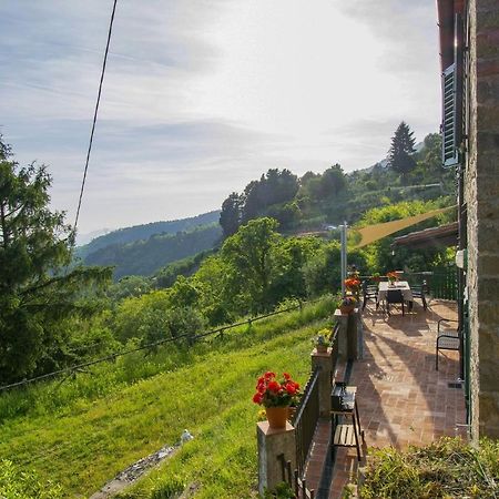 Вілла Casa Serena Petrognano  Екстер'єр фото